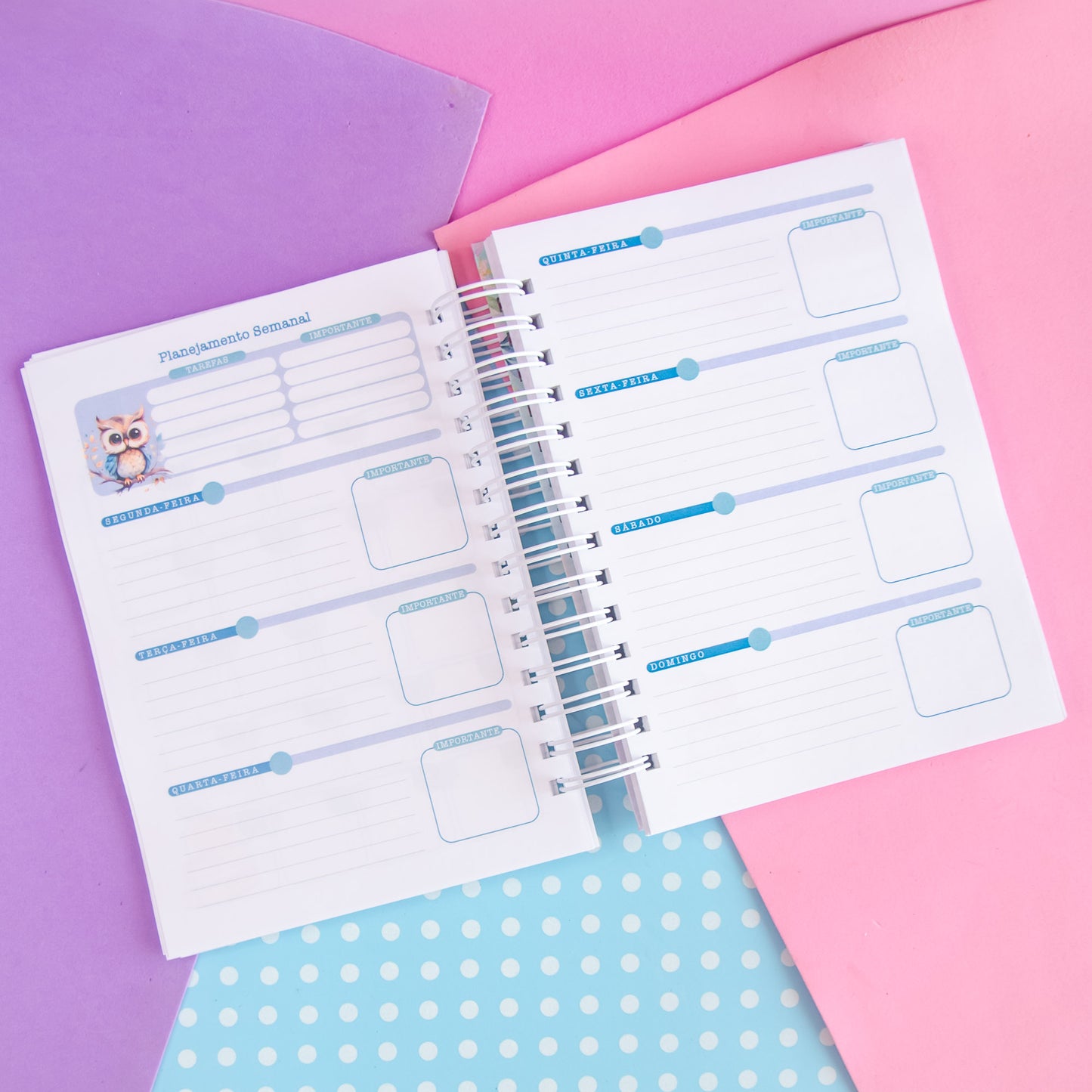 Planner Professora 🌸 Organize Suas Aulas com Amor e Praticidade