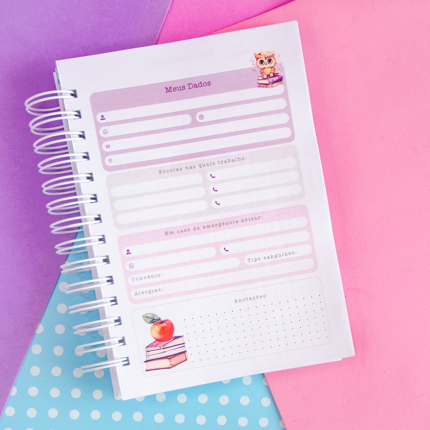 Planner Professora 🌸 Organize Suas Aulas com Amor e Praticidade
