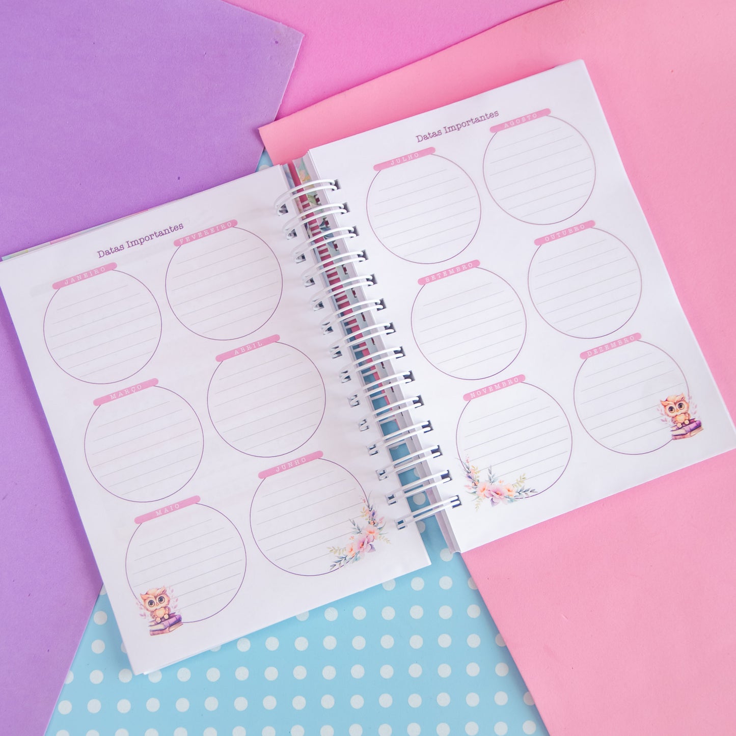 Planner Professora 🌸 Organize Suas Aulas com Amor e Praticidade