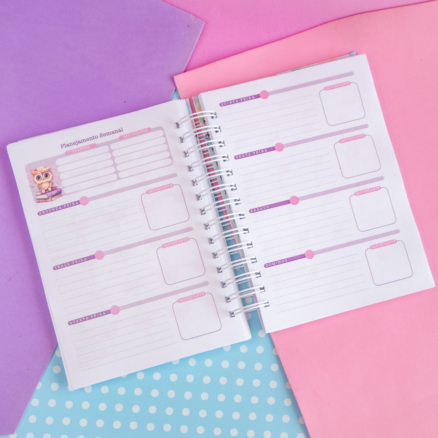 Planner Professora 🌸 Organize Suas Aulas com Amor e Praticidade