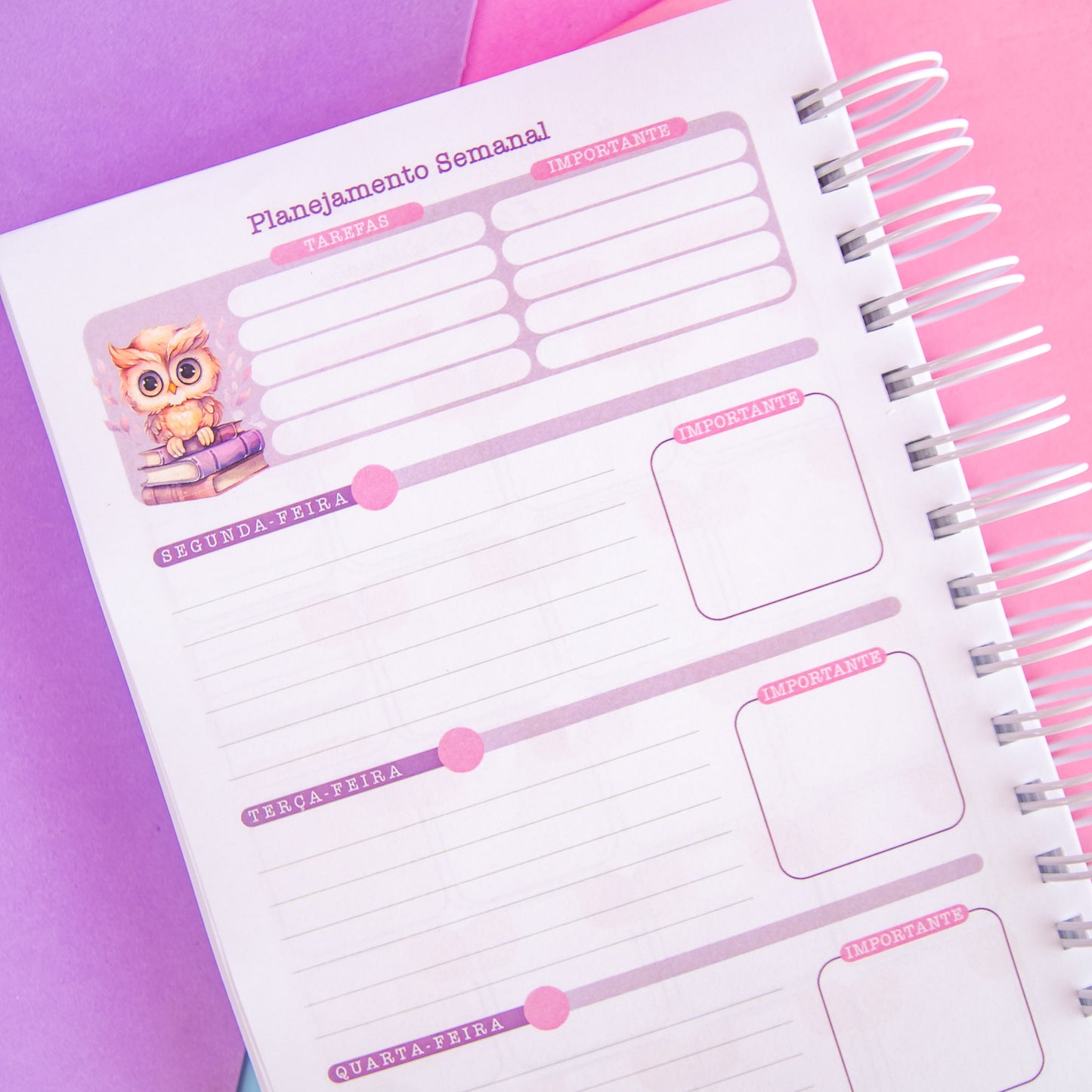 Planner Professora 🌸 Organize Suas Aulas com Amor e Praticidade