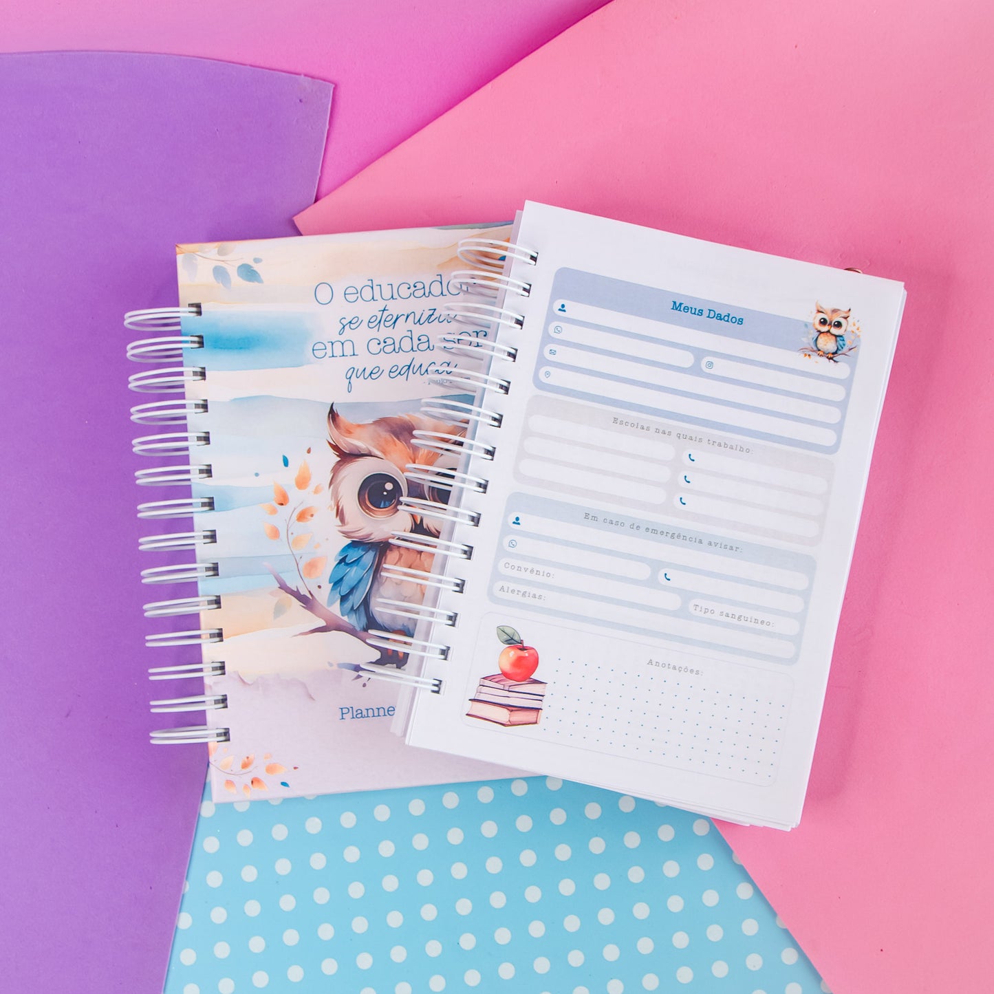 Planner Professora 🌸 Organize Suas Aulas com Amor e Praticidade