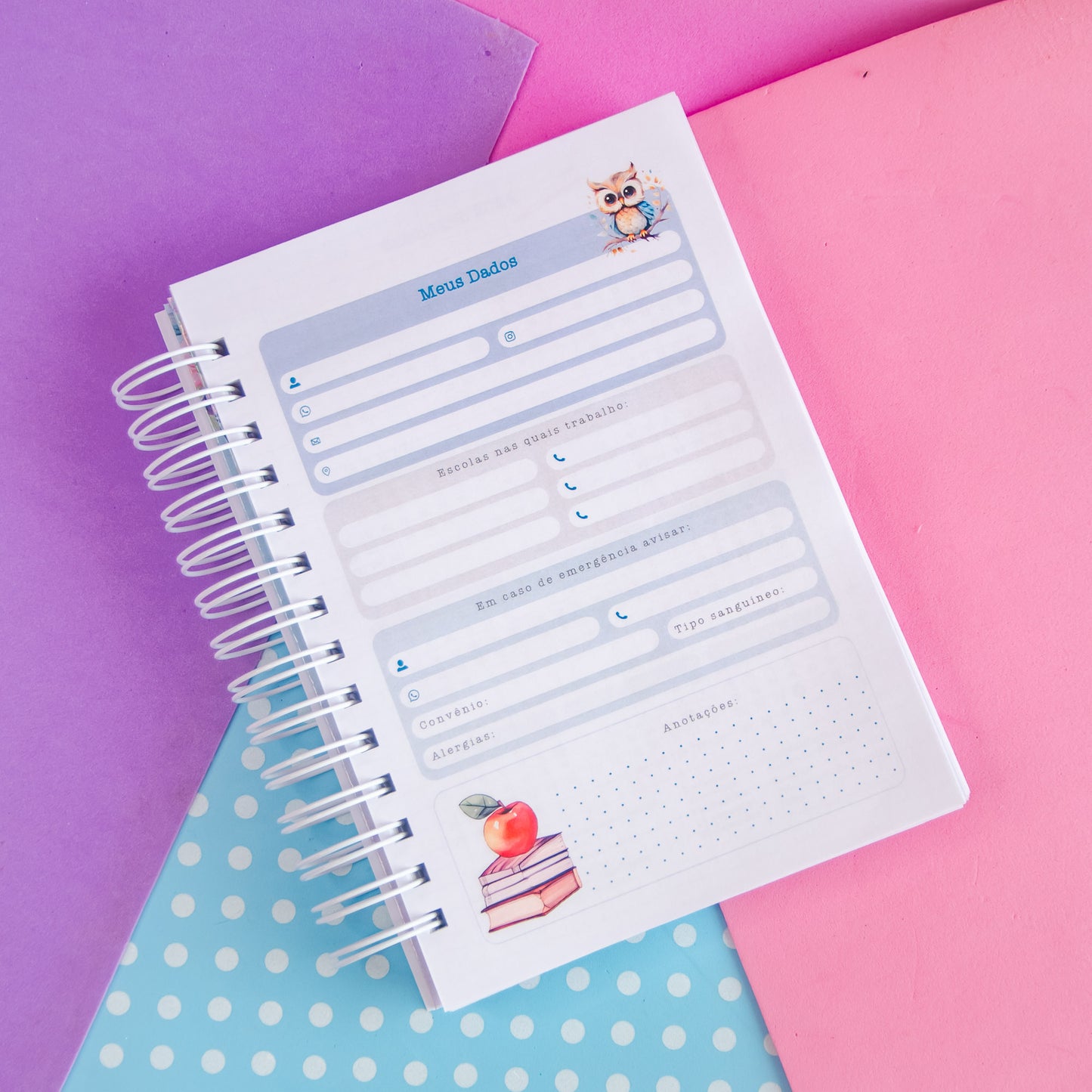 Planner Professora 🌸 Organize Suas Aulas com Amor e Praticidade
