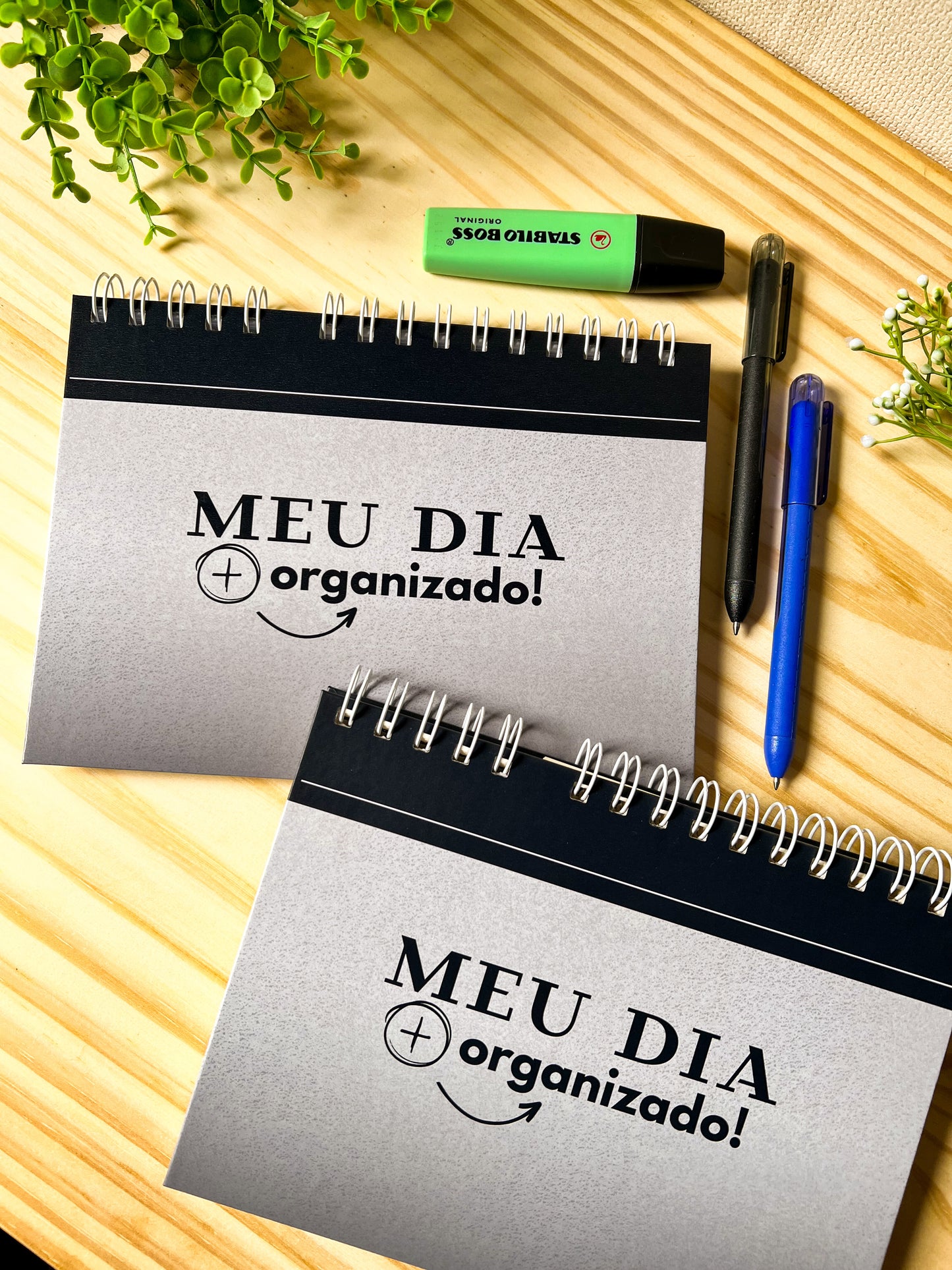 Planner Meu Dia + Organizado ✨ Transforme Sua Rotina com Leveza