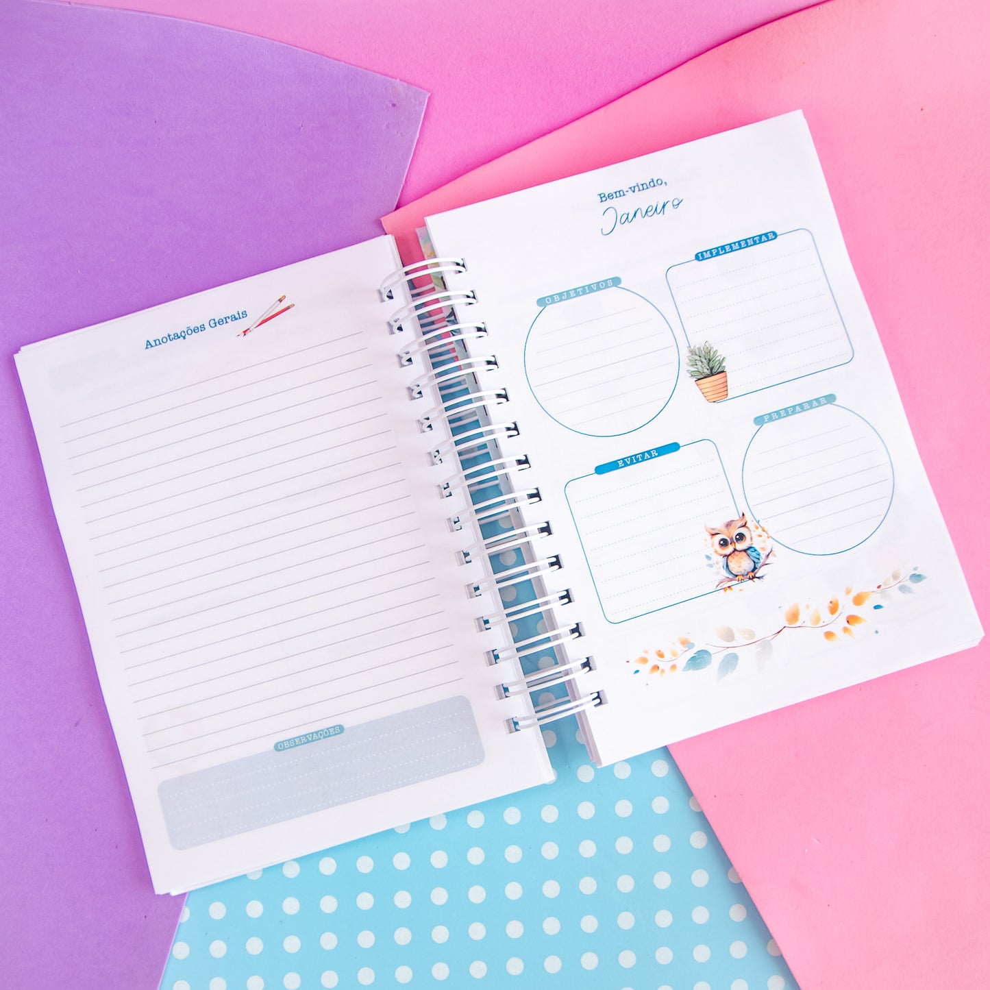 Planner Professora 🌸 Organize Suas Aulas com Amor e Praticidade
