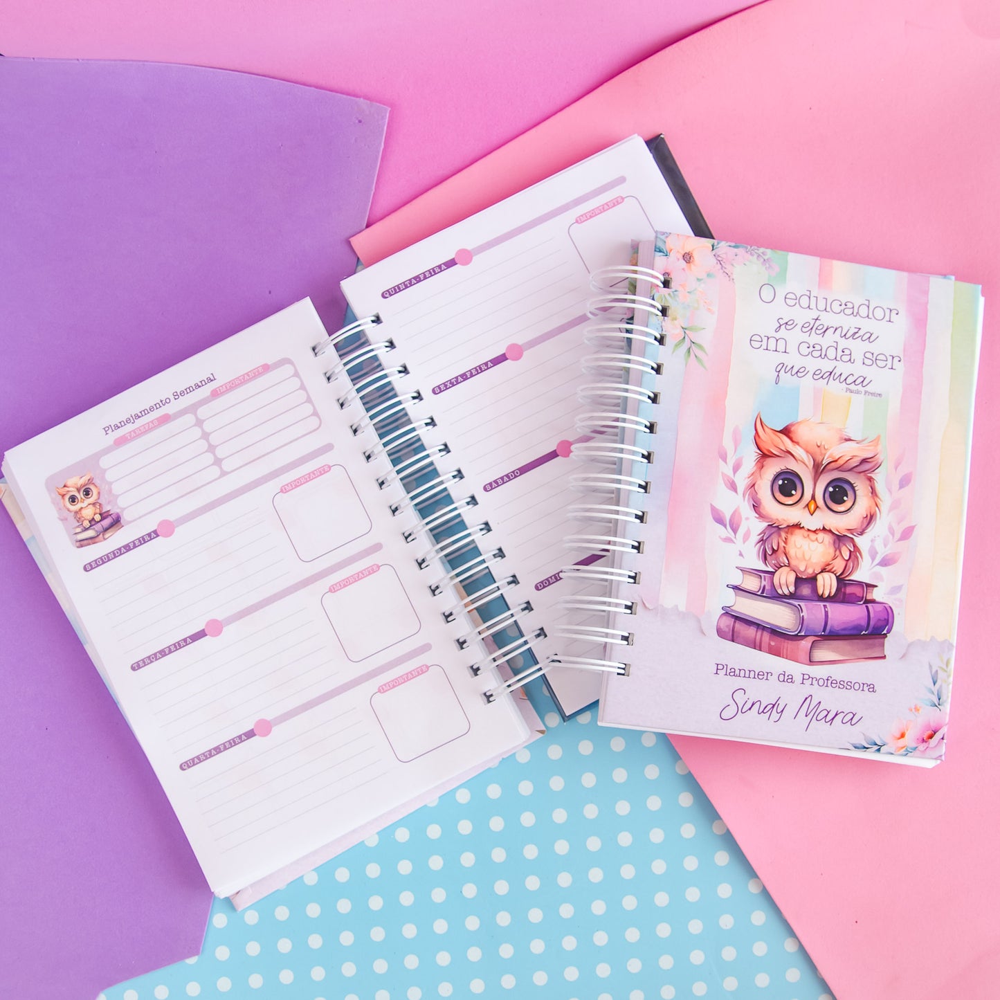 Planner Professora 🌸 Organize Suas Aulas com Amor e Praticidade