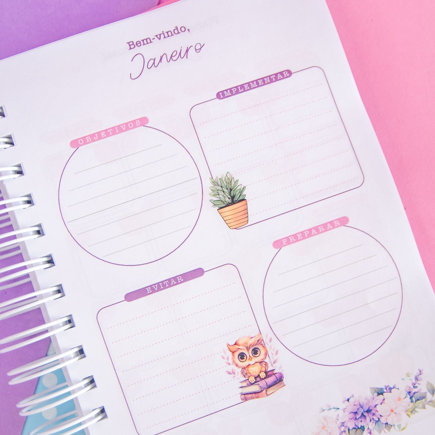Planner Professora 🌸 Organize Suas Aulas com Amor e Praticidade