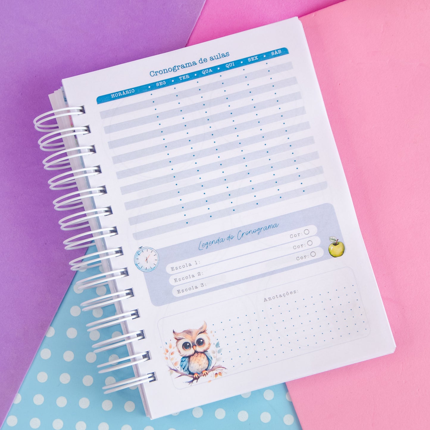 Planner Professora 🌸 Organize Suas Aulas com Amor e Praticidade